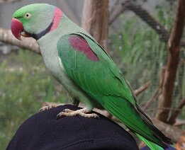 DJF_7212 null