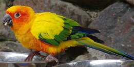 DJF_7232 null
