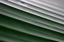 DJF_7369 null